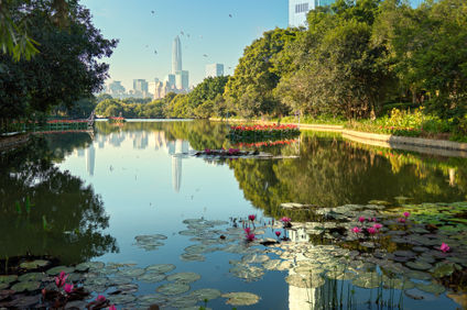 Mandarin Oriental, Shenzhen