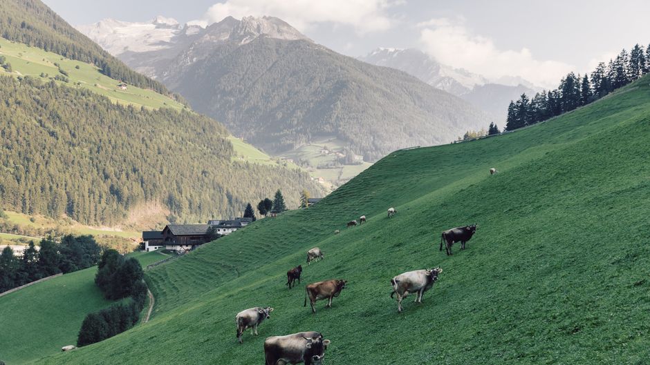 Alpin Royal Wellness Refugium Exterior