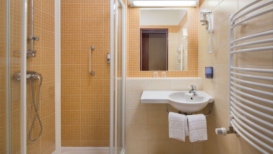 Hotel Benczur Room
