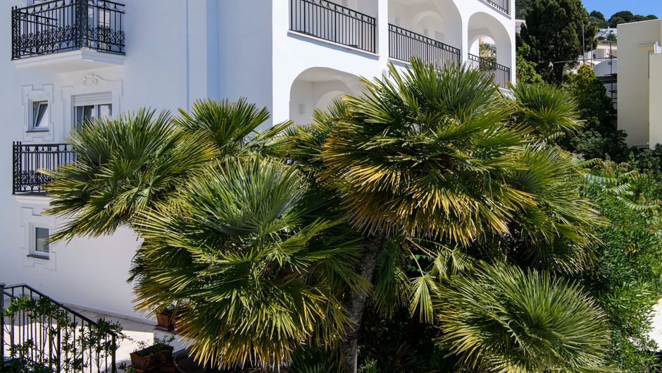 La Residenza Exterior
