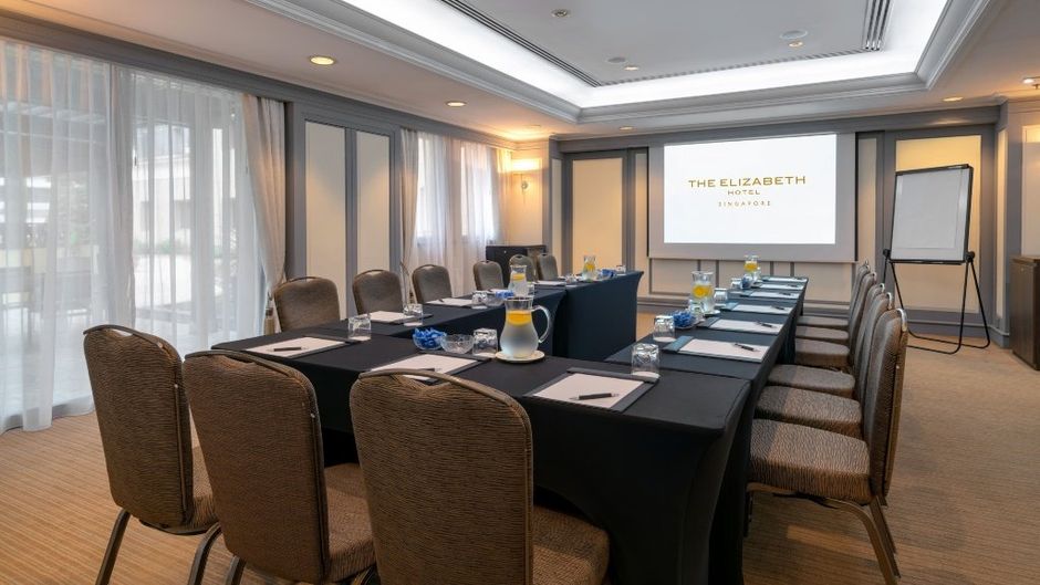 Vibe Hotel Singapore Orchard Meeting