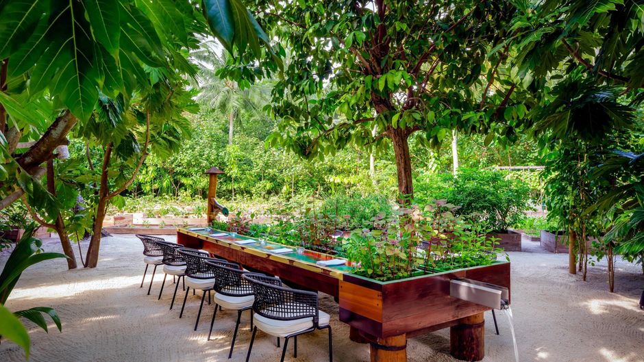 The St. Regis Maldives Vommuli Resort Restaurant