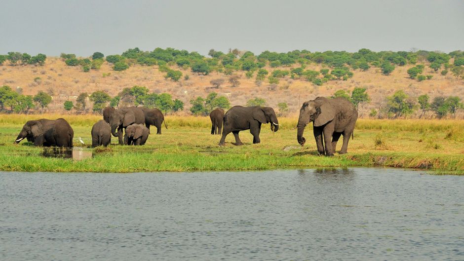 Cresta Mowana Safari Resort & Spa Other
