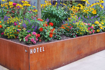 Chestnut Hill Hotel