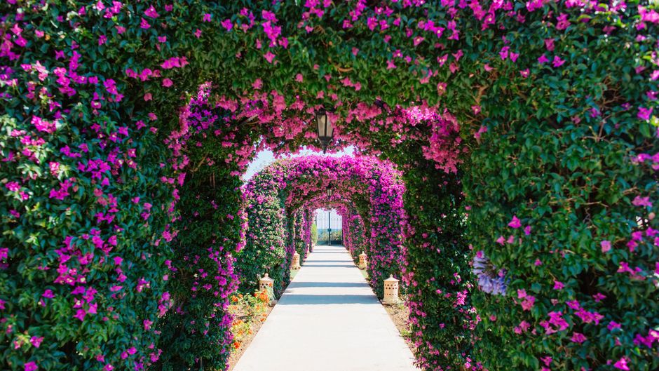 The St. Regis Mardavall Mallorca Resort Exterior