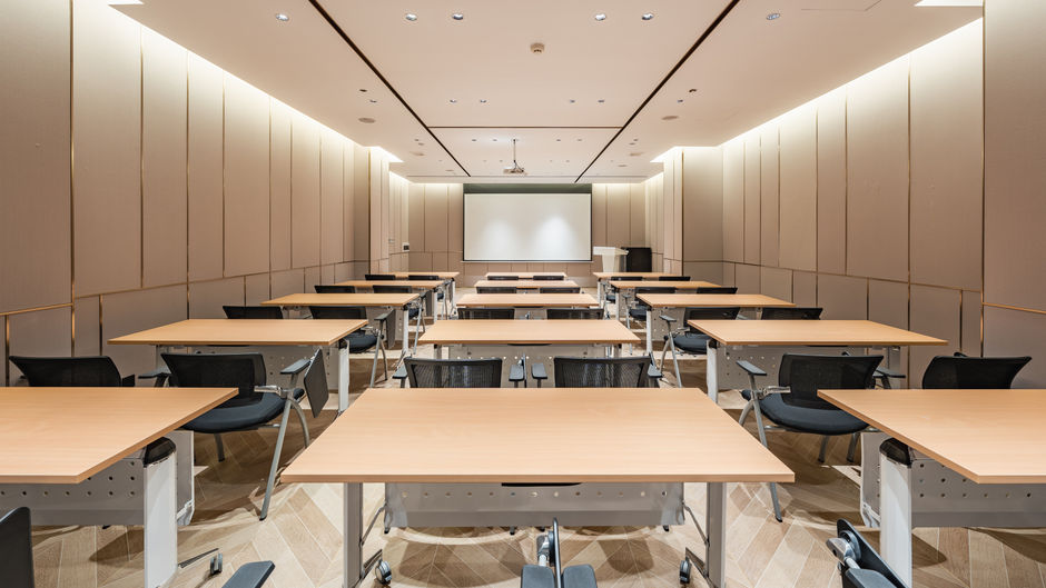 Holiday Inn Express Shanghai Expo Centre Meeting