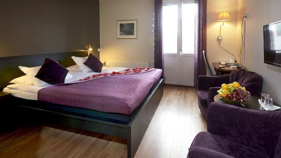 Hotel Skovde Room