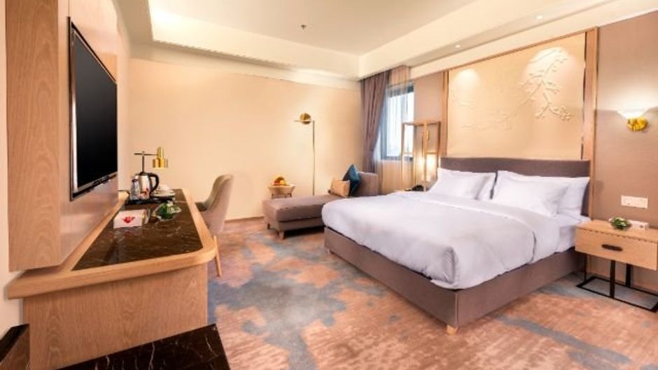 Aber Abha Hotel Room