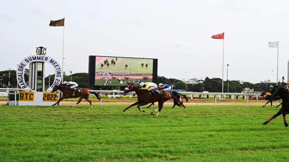 Holiday Inn Express & Suites Racecourse Other