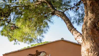 Byblos Saint Tropez