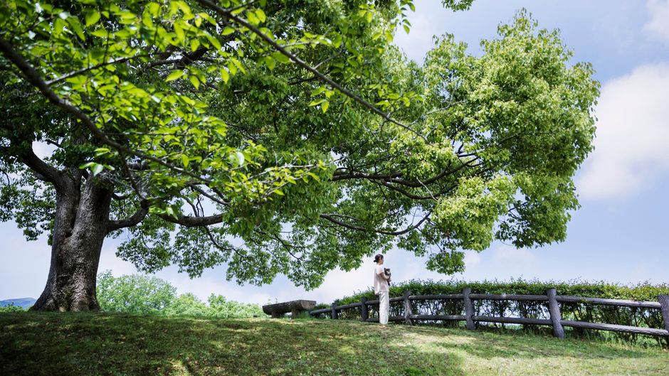Izu Marriott Hotel Shuzenji Other