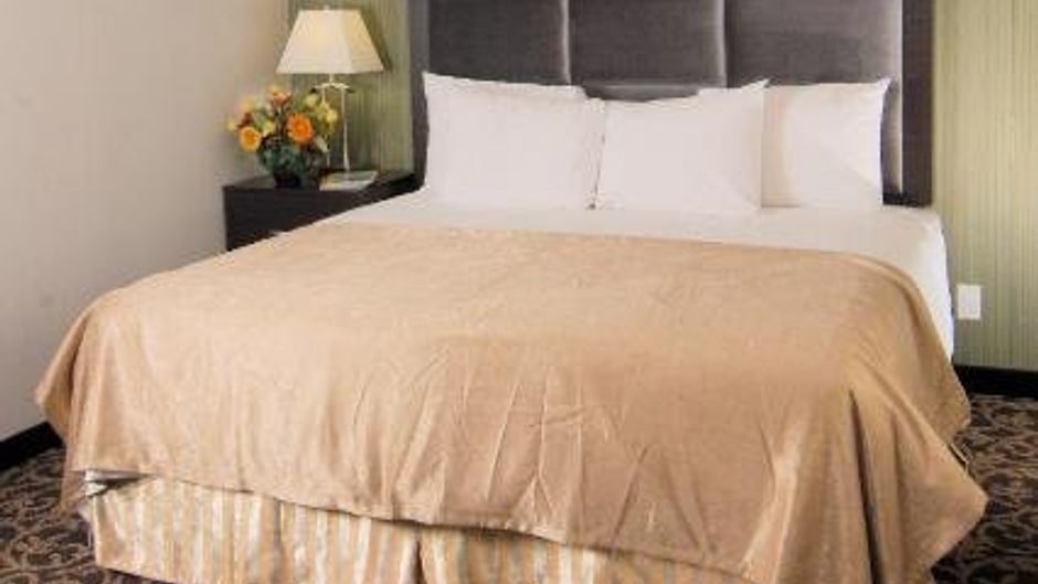 Paradise Inn & Suites Redwater Room