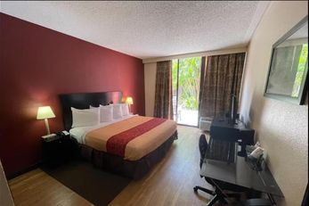 Tropical Palms Hotel