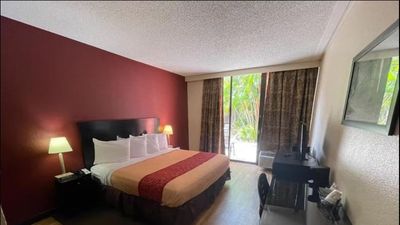 Tropical Palms Hotel