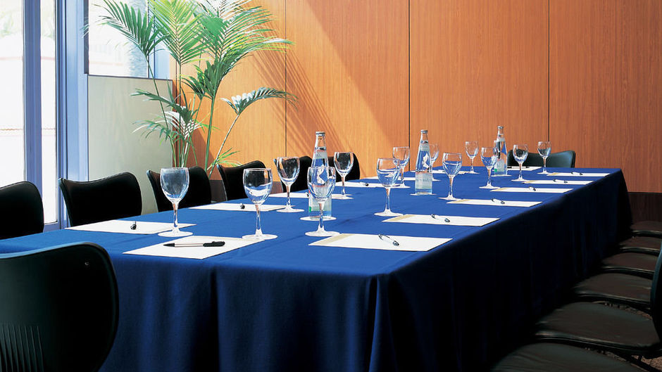 Hotel Jardines de Amaltea Meeting