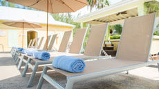 The Sunshine Hotel and Suites