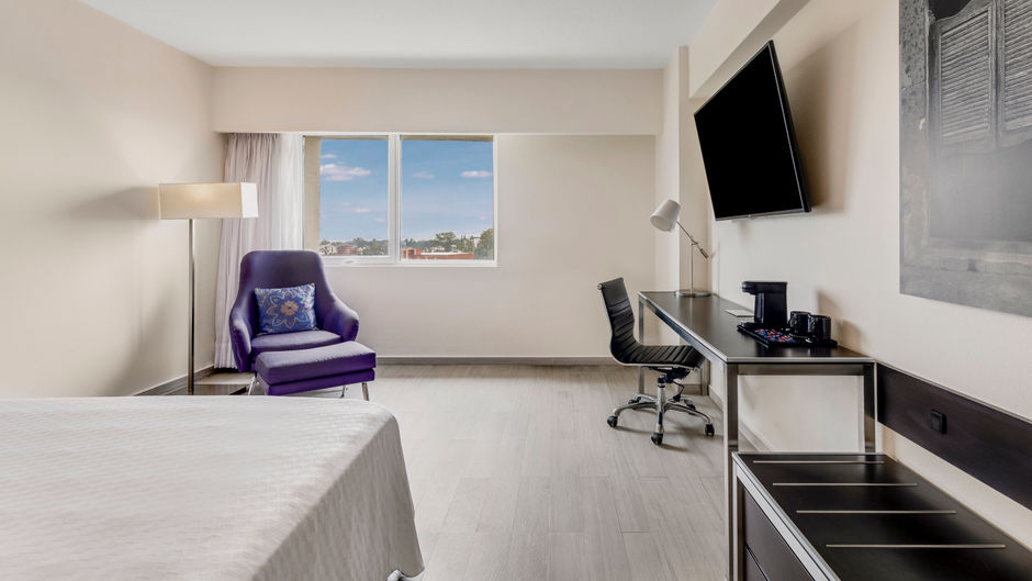 Fiesta Inn Guadalajara Expo Room