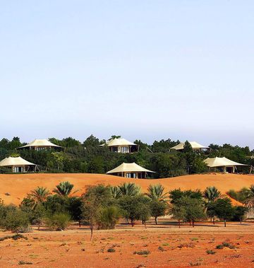 Al Maha, Luxury Collection Desert Resort