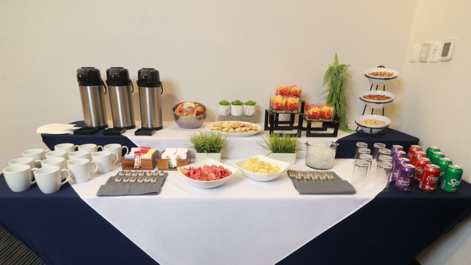 Holiday Inn Express San Luis Potosi Meeting