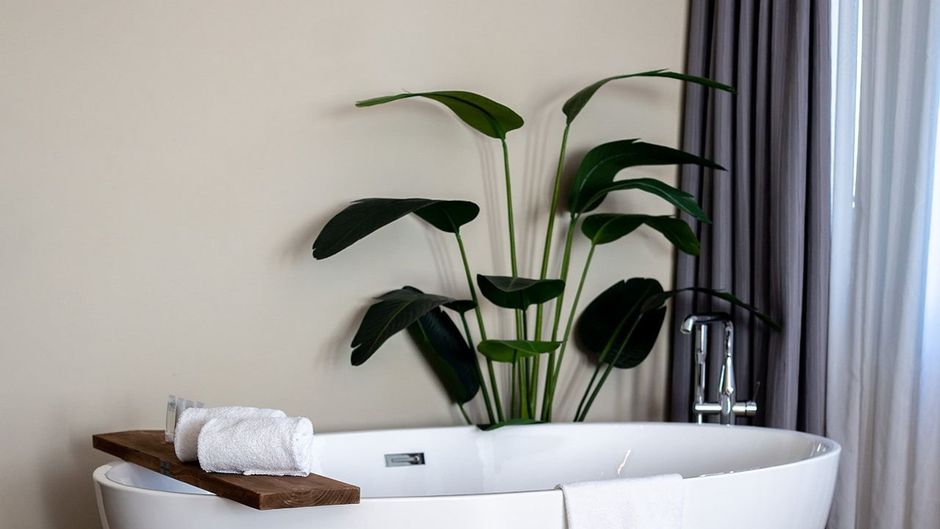 Hotel Alkmaar Room