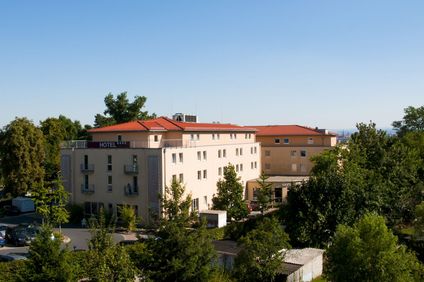 Wilder Mann Hotel