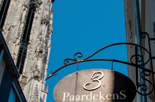 Hotel 3 Paardekens