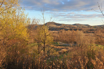 Stoney Creek Hotel & Conference Center