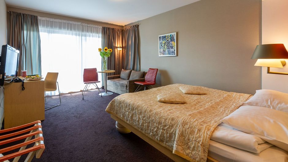 Hotel Niebieski Room