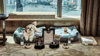 The Ritz-Carlton, Hong Kong