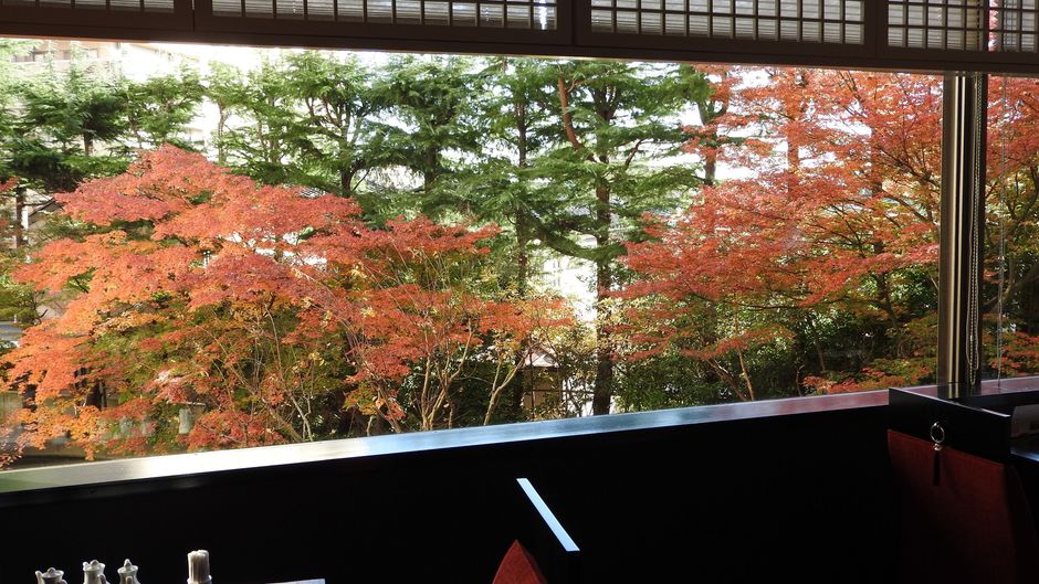 Crowne Plaza ANA Niigata Other