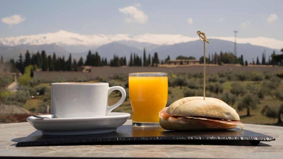 Hotel Porcel Alixares Restaurant