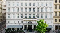 The Amauris Vienna