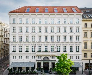 The Amauris Vienna
