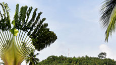 Pestana Equador Island Resort