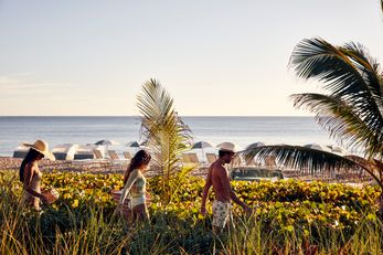 Four Seasons Resort Palm Beach