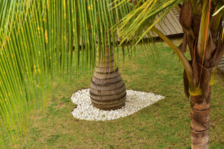 Pestana Sao Tome Ocean & Spa Hotel