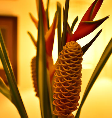 Pestana Sao Tome Ocean & Spa Hotel