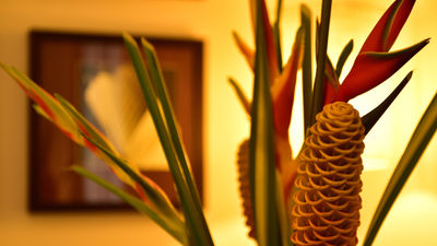 Pestana Sao Tome Ocean & Spa Hotel