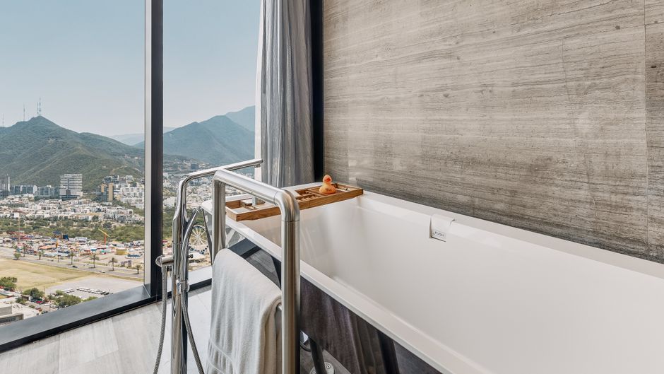Live Aqua Urban Resort Monterrey Other
