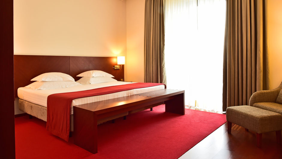 Pousada de Viseu Room