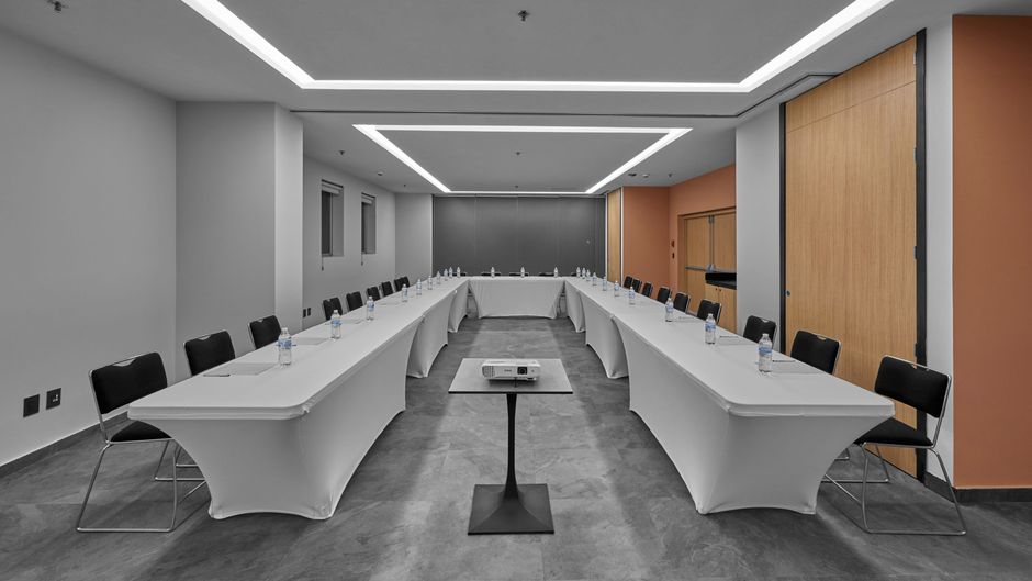 City Express Plus-Marriott Providencia Meeting