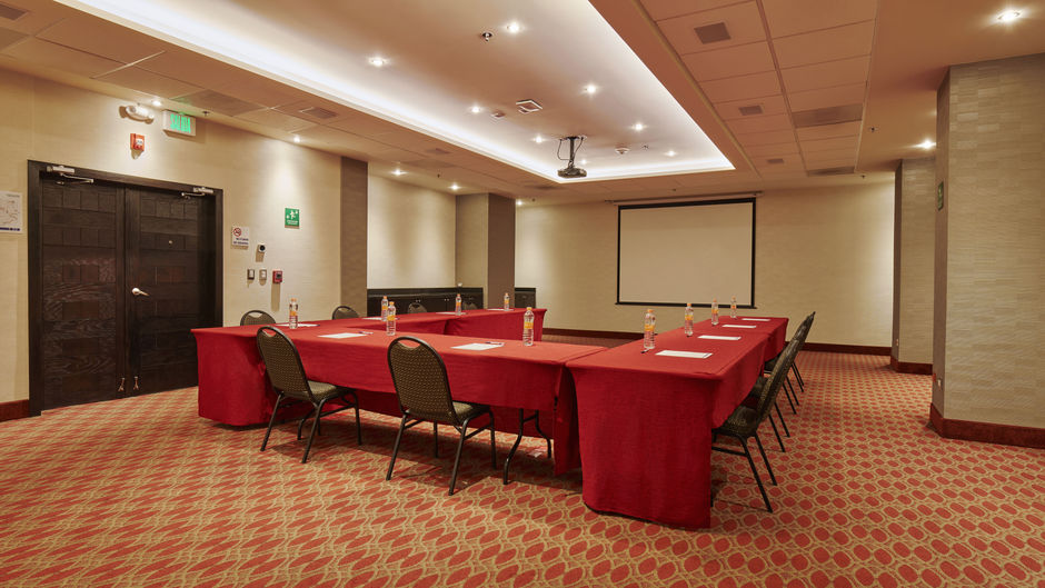 Holiday Inn Express & Suites Juventud Meeting