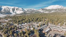Outbound Mammoth