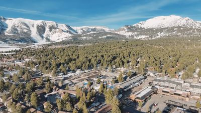 Outbound Mammoth