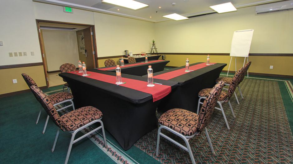 Holiday Inn Leon - Mexico Meeting