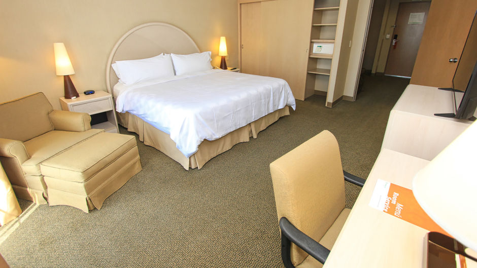 Holiday Inn Centro de Convenciones Suite