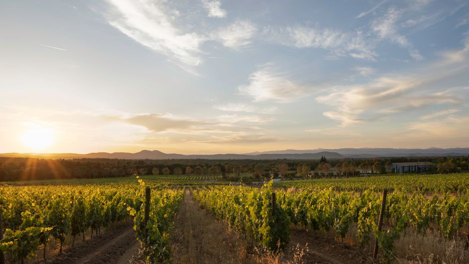 Ultimate Provence Wine Estate & Hotel Other