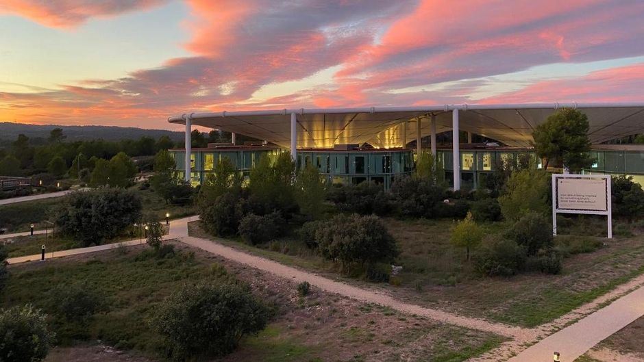 The Camp Hotel & Lodges Exterior