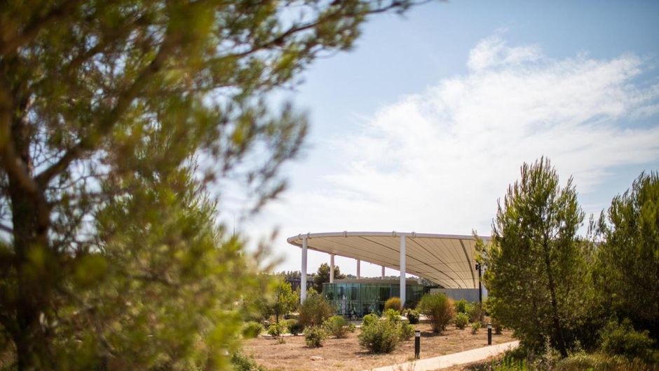 The Camp Hotel & Lodges Exterior