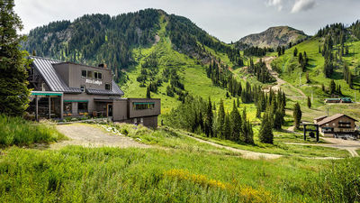 Alta Lodge
